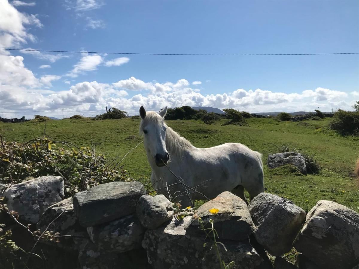 Kilronan Cottage Ballyconneely Luaran gambar